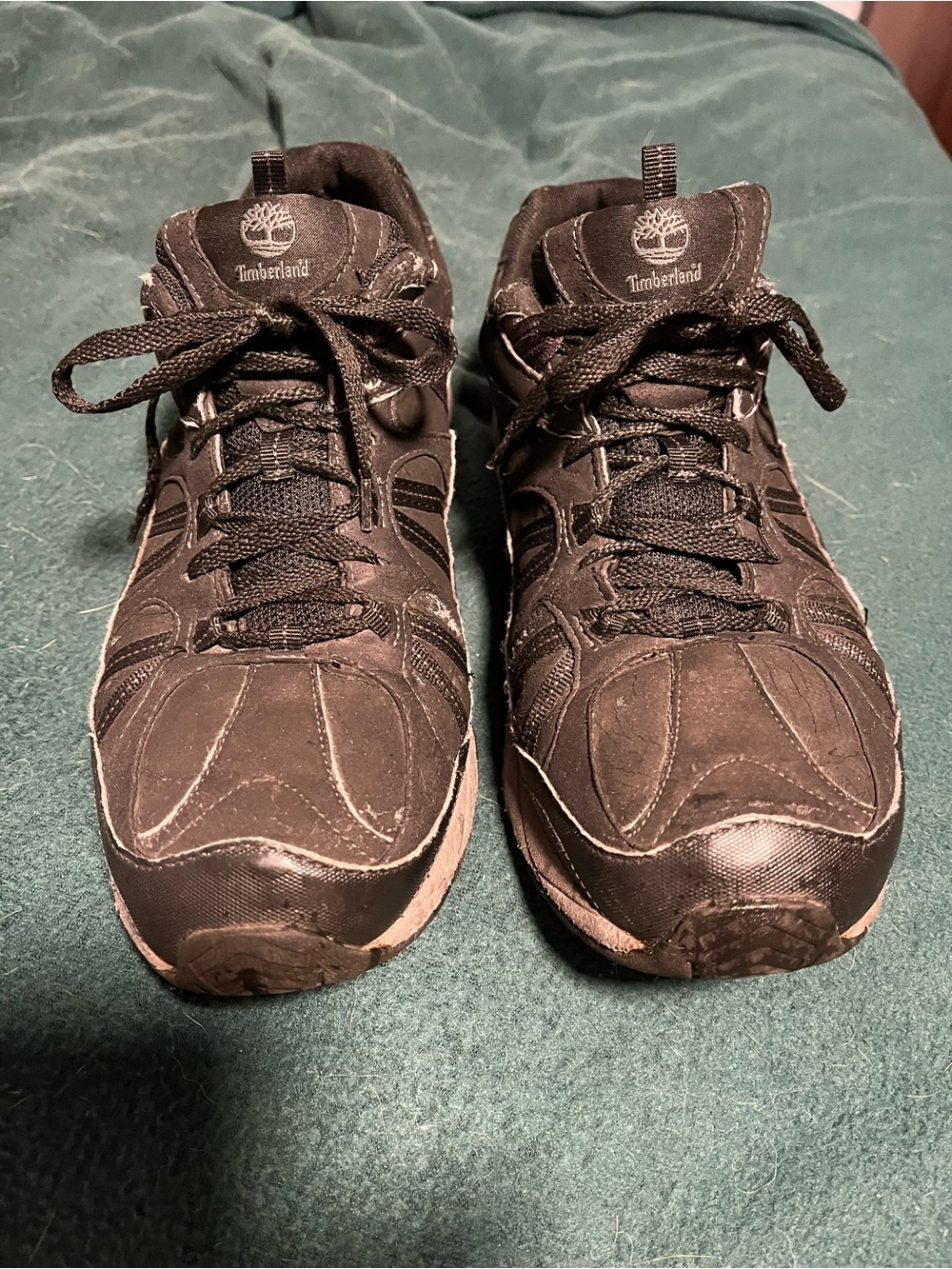 Timberland Translite GTX Gore-Tex Waterproof Black Trail Sneakers Mens 10